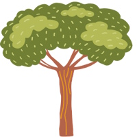 PowerPoint Tiếng Việt 4 Bài 6 viết 1: Luyện tập tả cây cối