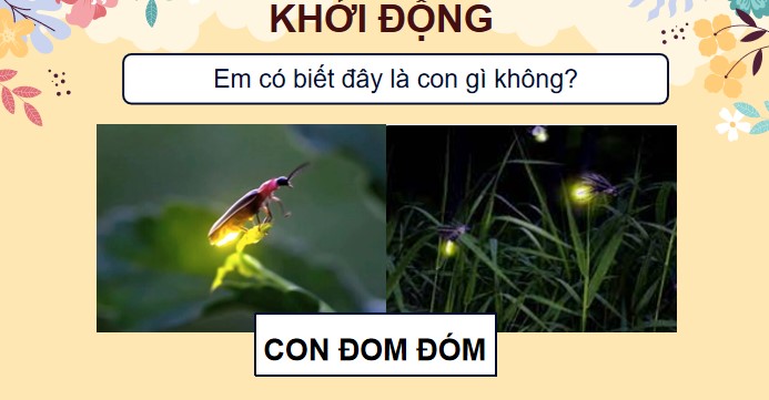 giao an tieng viet 4 cd bai 7 anh dom dom 2*497658