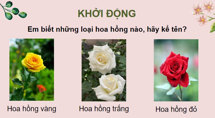 Giáo án điện tử Bài 7: Kể chuyện Cây hoa hồng bạch