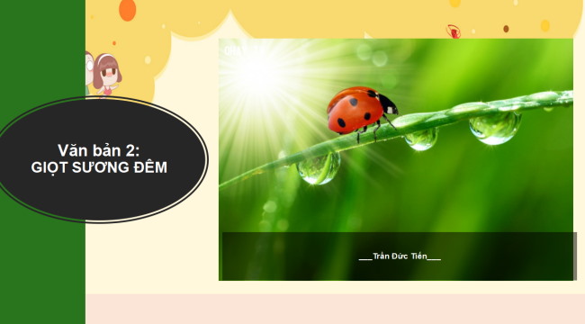 PowerPoint Ngữ văn 6 Bài 4: Giọt sương đêm