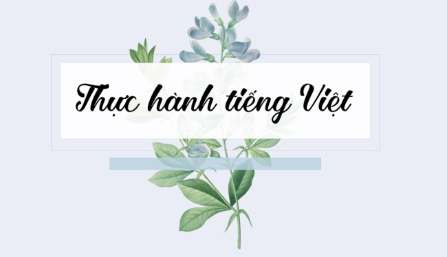 PowerPoint Ngữ văn 6 Bài 5: Thực hành tiếng Việt (trang 113)