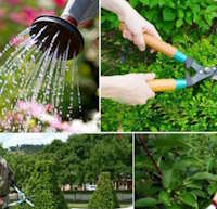 Giáo án Sinh hoạt lớp 2 Em yêu lao động sách Cánh diều tuần 10