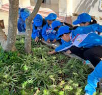 Giáo án Sinh hoạt lớp 2 Em yêu lao động sách Cánh diều tuần 9