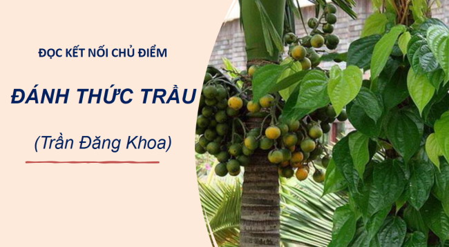 PowerPoint Ngữ văn 6 Bài 5: Đánh thức trầu