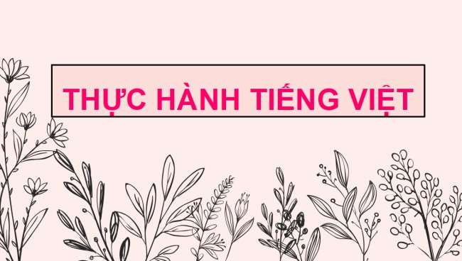 PowerPoint Ngữ văn 6 Bài 5: Thực hành tiếng Việt