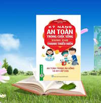 Giáo án Sinh hoạt lớp 2 An toàn trong cuộc sống sách Cánh diều tuần 335