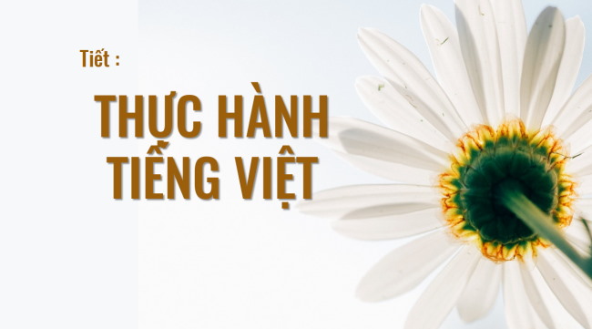 PowerPoint Ngữ văn 6 Bài 5: Thực hành tiếng Việt