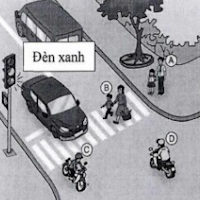 Trong hình ảnh dưới đây, em hãy chỉ ra ai là người đang không chấp hành tín hiệu đèn giao thông?