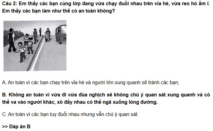 Em thấy các bạn cùng lớp đang vừa chạy đuổi nhau trên vỉa hè, vừa reo hò ầm ĩ. Em thấy các bạn làm như thế có an toàn không?