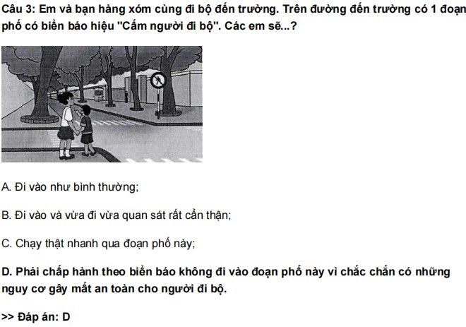 Em và bạn hàng xóm cùng đi bộ đến trường. Trên đường đến trường có 1 đoạn phố có biển báo hiệu "Cấm người đi bộ". Các em sẽ...?