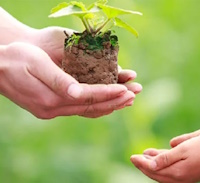 Giáo án Sinh hoạt lớp 3 Tự hào truyền thống quê em tuần 16