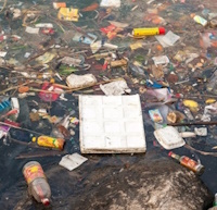 Giáo án Sinh hoạt lớp 3 Cuộc sống xanh tuần 28