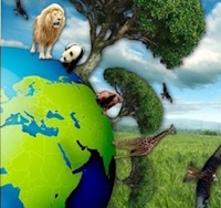 Giáo án Sinh hoạt lớp 3 Cuộc sống xanh tuần 29