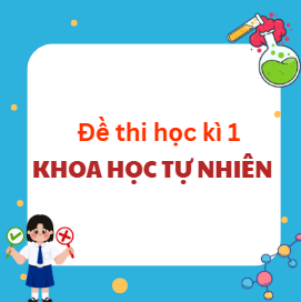 Bộ đề thi học kì 1 lớp 6, 7, 8, 9 môn KHTN Kết nối tri thức Theo CV 7991 (Dạy nối tiếp)