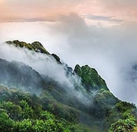 Giáo án Sinh hoạt lớp 3 Làm bạn với thiên nhiên tuần 28