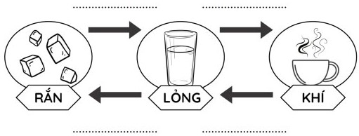 Đề cương ôn tập học kì 1 Khoa học 4 Chân trời sáng tạo
