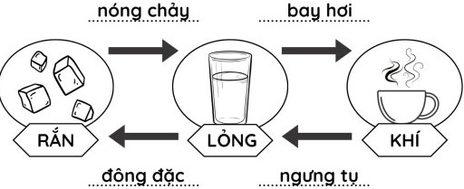 Đề cương ôn tập học kì 1 Khoa học 4 Chân trời sáng tạo