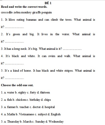 Đề thi học kì 1 Tiếng Anh lớp 4 Chân trời sáng tạo