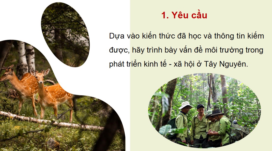 PowerPoint Bài 18 Địa lí 9 CTST