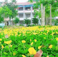 Giáo án Sinh hoạt lớp 4 Giữ gìn trường em xanh, sạch, đẹp tuần 2