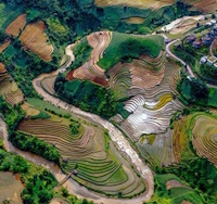 Giáo án Sinh hoạt lớp 4 Quê hương tươi đẹp tuần 29