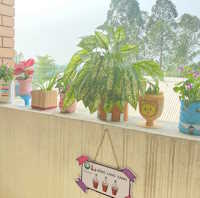 Giáo án Sinh hoạt lớp 4 Giữ gìn trường em xanh, sạch, đẹp tuần 3