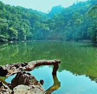 Giáo án Sinh hoạt lớp 4 Trải nghiệm nghề truyền thống tuần 32