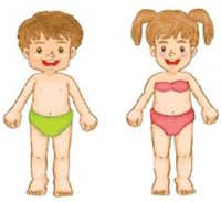 Giáo án Sinh hoạt lớp 4 An toàn trong cuộc sống của em tuần 6