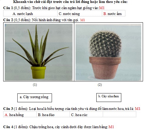 de thi hoc ki 1 mon cong nghe lop 4 canh dieu 3*504783