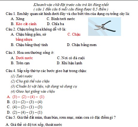 de thi hoc ki 1 mon cong nghe lop 4 chan troi sang tao 1*504770