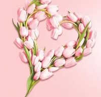 Giáo án Sinh hoạt lớp 4 Gắn kết gia đình - Quý trọng phụ nữ tuần 24