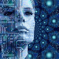 Đề thi học kì 1 môn Công nghệ 6 sách Chân trời sáng tạo năm 2025 - 2026