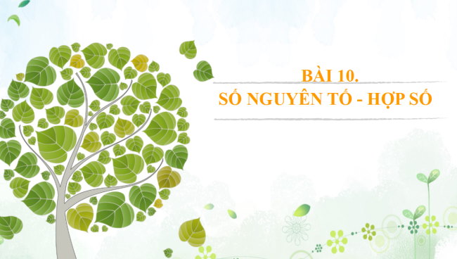 PowerPoint Toán 6 Bài 10: Số nguyên tố. Hợp số