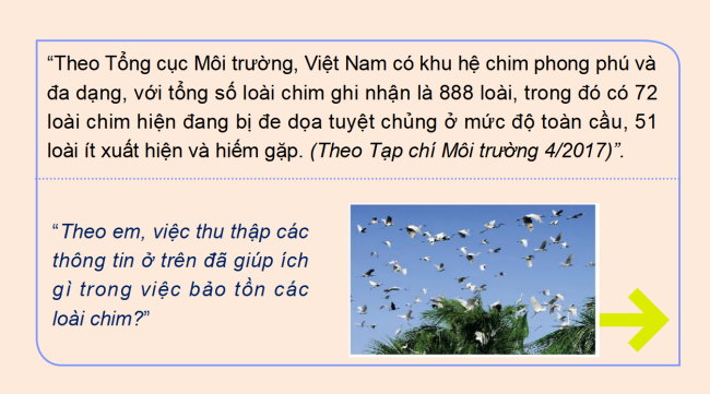 PowerPoint Toán 6 Bài 1: Thu thập và phân loại dữ liệu