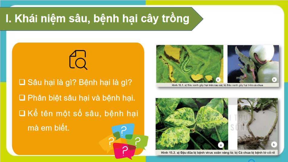  Bài 15: Sâu bệnh hại cây trồng và ý nghĩa của việc phòng trừ