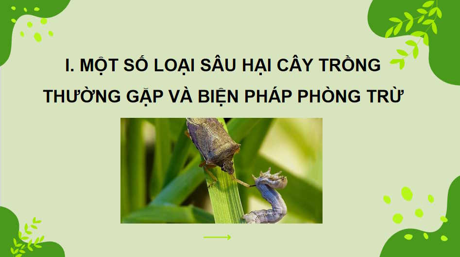  Bài 16: Một số hại cây trồng thường gặp và biện pháp phòng trừ