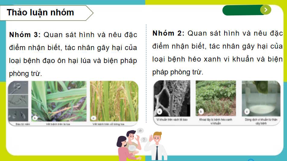  Bài 17: Một số bệnh hại cây trồng thường gặp và biện pháp phòng trừ