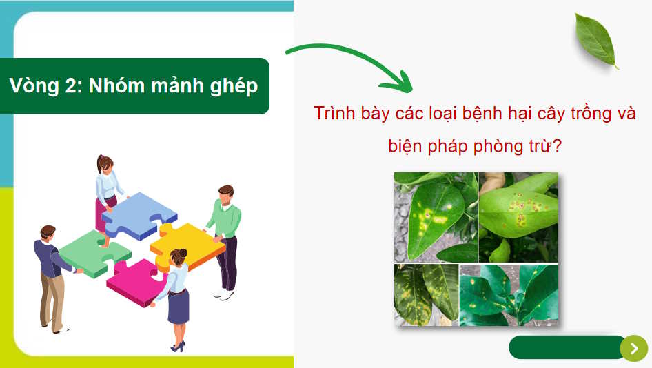  Bài 17: Một số bệnh hại cây trồng thường gặp và biện pháp phòng trừ