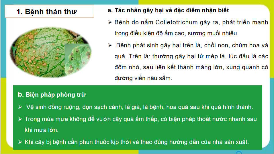  Bài 17: Một số bệnh hại cây trồng thường gặp và biện pháp phòng trừ