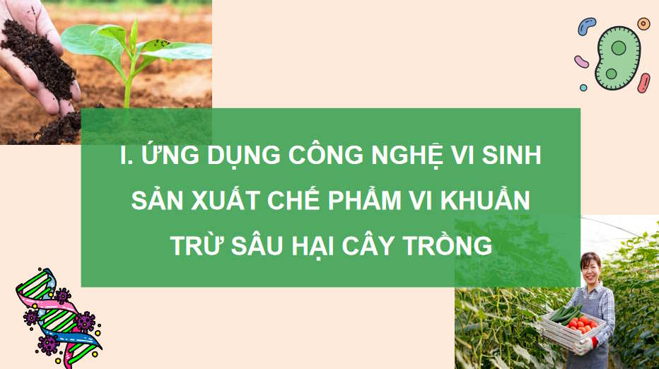  Bài 18: Ứng dụng công nghệ vi sinh trong phòng trừ sâu bệnh hại cây trồng