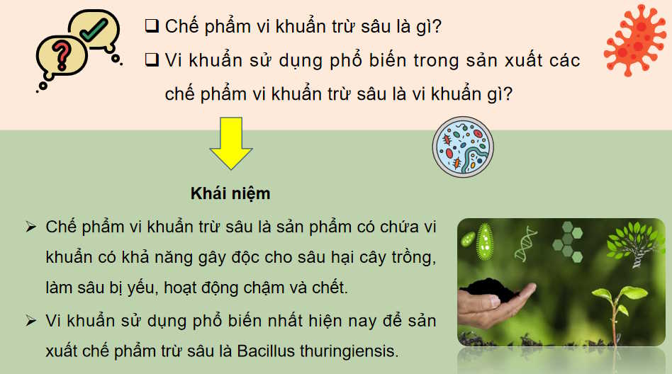  Bài 18: Ứng dụng công nghệ vi sinh trong phòng trừ sâu bệnh hại cây trồng