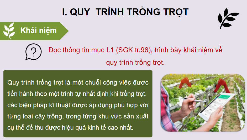 Bài 19: Quy trình trồng trọt và cơ giới hoá trong trồng trọt