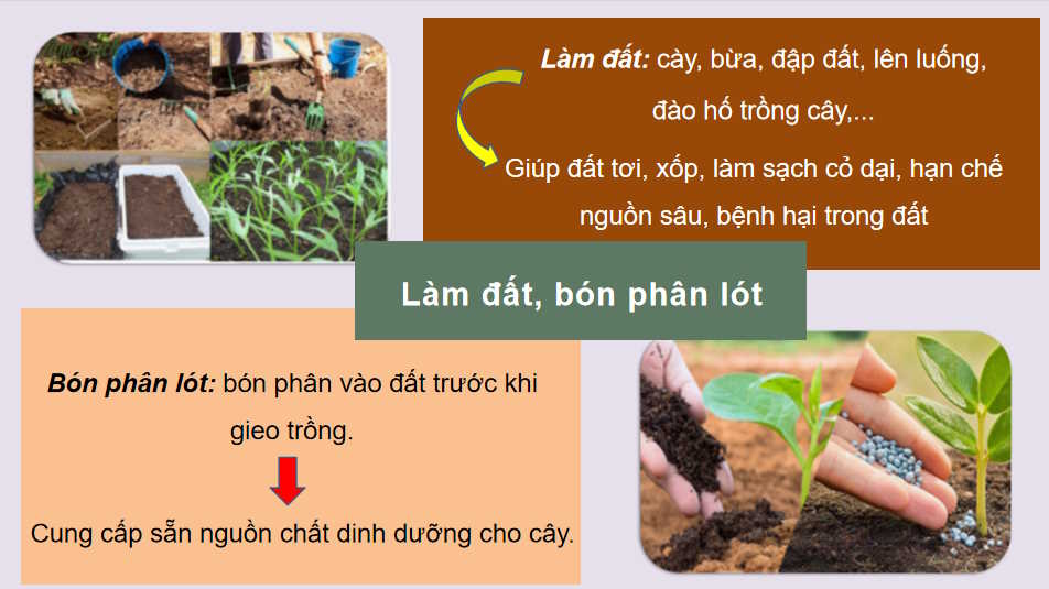  Bài 19: Quy trình trồng trọt và cơ giới hoá trong trồng trọt