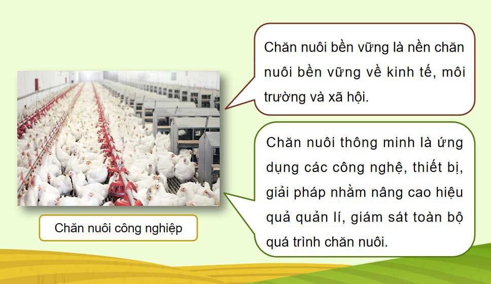  Bài 2: Vật nuôi và phương thức chăn nuôi