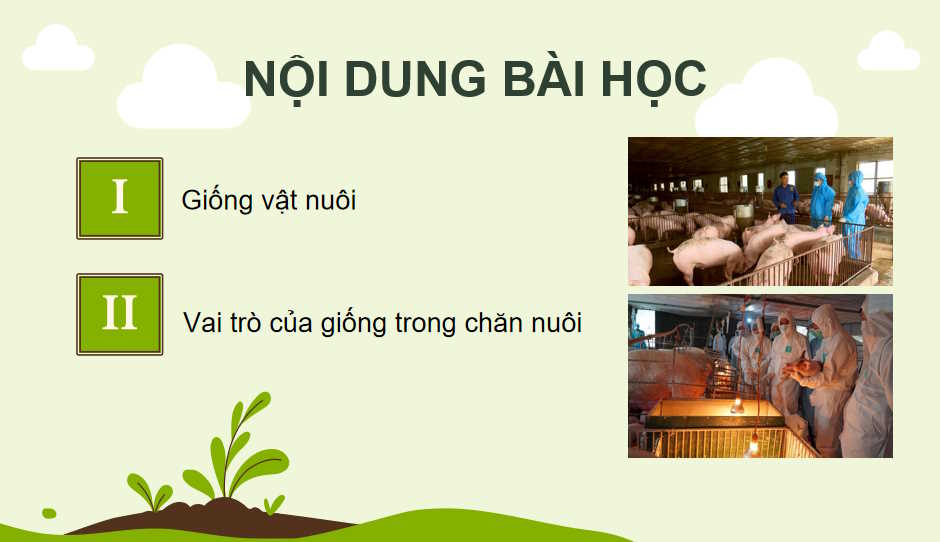  Bài 3: Khái niệm vai trò của giống trong chăn nuôi