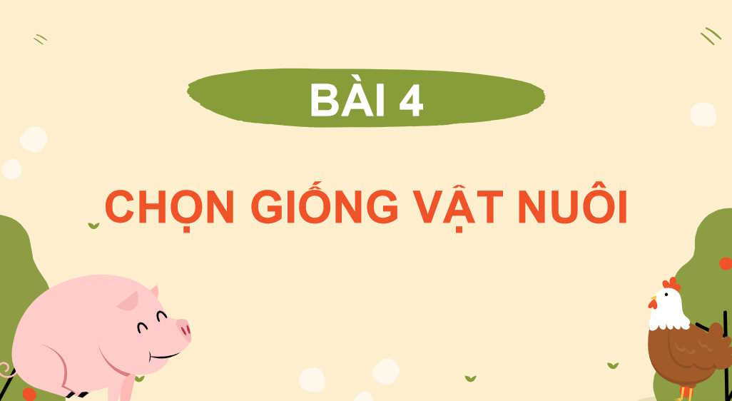  Bài 4: Chọn giống vật nuôi