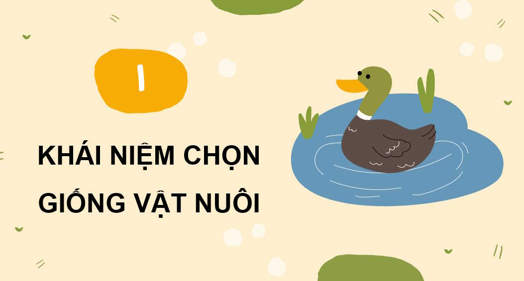  Bài 4: Chọn giống vật nuôi