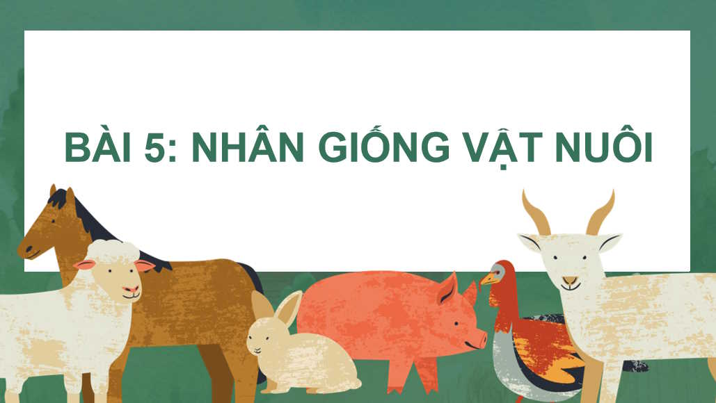 Bài 5: Nhân giống vật nuôi