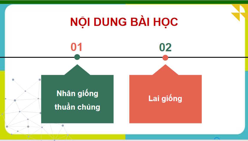 Bài 5: Nhân giống vật nuôi