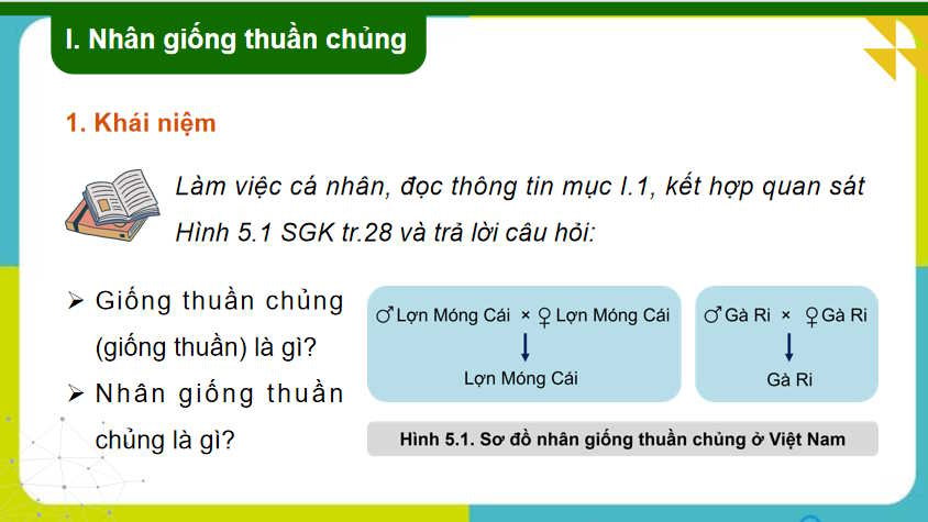 Bài 5: Nhân giống vật nuôi